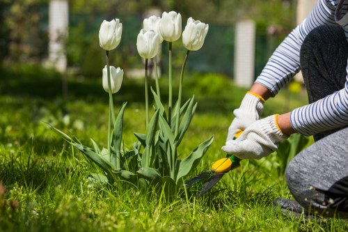 Professional hedge trimming service in Walthamstow