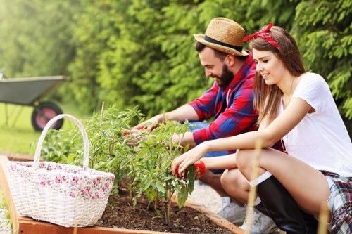 Modern landscaping trends in Walthamstow