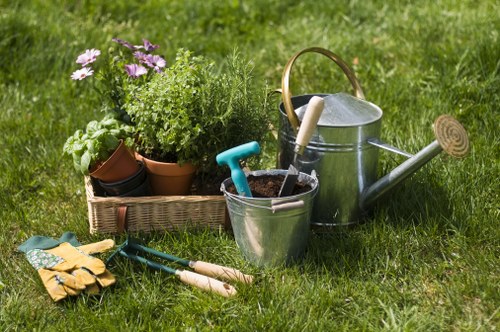 Trimming trees and shrubs in a Walthamstow garden