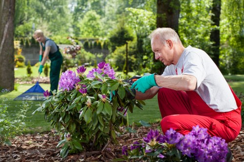 Beautifully redesigned garden space after clearance