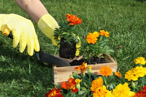 Well-maintained lawn showcasing regular mowing benefits