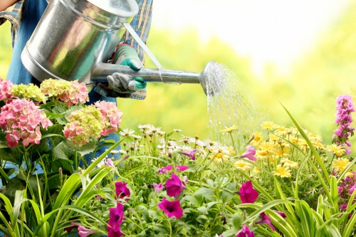Professional landscaping services in Walthamstow