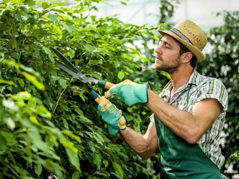 Eco-friendly lawn mowing techniques in Walthamstow