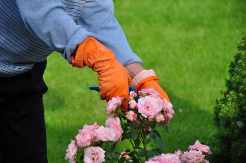 Expert technician choosing the right mower for a Walthamstow lawn