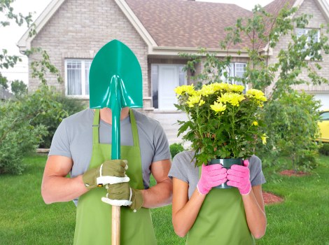 Skilled gardeners trimming a lush hedge in Walthamstow