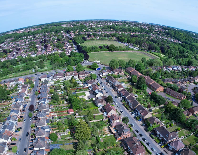 An aerial view of Lloyd Park in Walthamstow showing its expansive green sports fields surrounded by mature trees and lush foliage. In the foreground, a residential area features a row of terraced hous